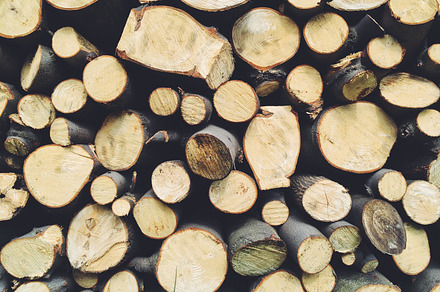 Wood containing wood, forest, and nature preview 6