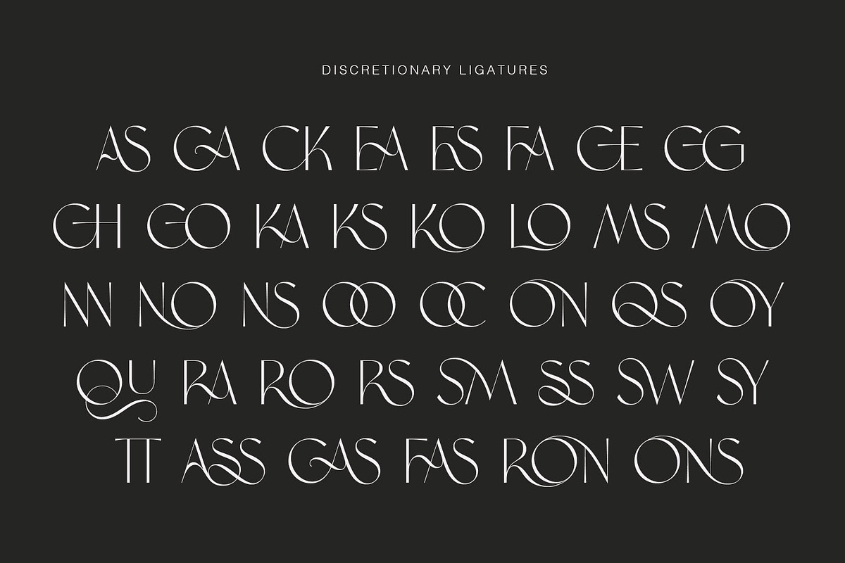 Brema Modern Sans, a Sans Serif Font by Andrey Sharonov (Photo 8 of 19)