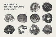 Wood Tree Ring Stump Vectors, a Graphic by GhostlyPixels (Thumbnail 4 of 4)