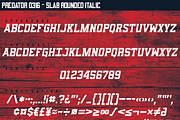Predator 0316 - Full Family, a Sans Serif Font by Eargle Design, LLC (Thumbnail 18 of 20)