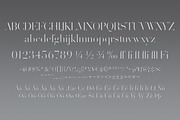 Volterra Family, a Serif Font by Blank Is The New Black (Thumbnail 10 of 11)