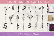 Botanical bundle - svg, png, a Decorative Illustration by Watercolor_Vector Graphic (Thumbnail 1 of 26)