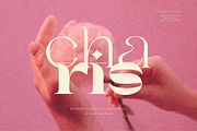 SNS Charis Font Family, a Serif Font by Sans & Sons (Thumbnail 1 of 10)