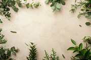 99 Frames of green leaves, a Nature Photo by Handmadefont (Thumbnail 14 of 100)