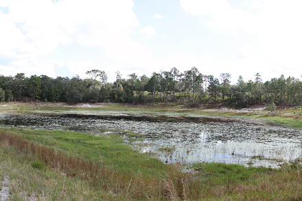 Lake in Gold Head Branch State Park