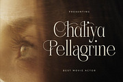 Nebiard Classic Serif Font, a Serif Font by Storytype Studio (Thumbnail 3 of 15)
