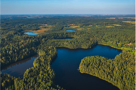 Aerial view of wild forest lake in, a Nature Photo by Lukas Jonaitis SHOP