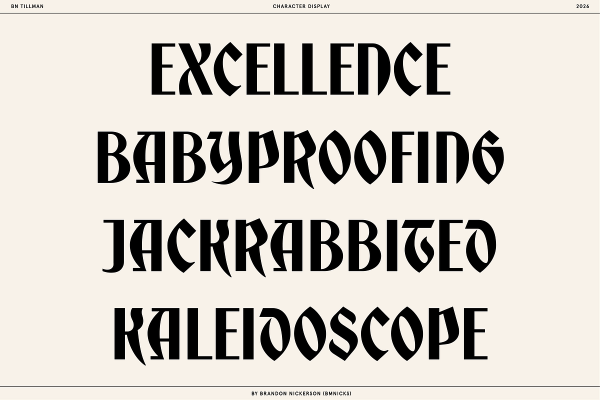 BN Tillman Gothic Display Typeface, a Serif Font by Bnick (Photo 8 of 12)