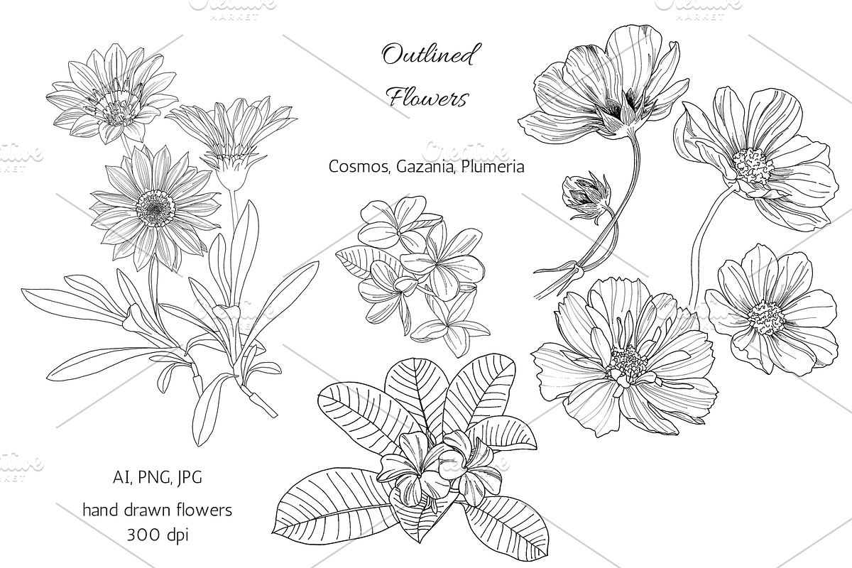 Flowers outlined, an Object Graphic by VictoriaKStudio (Photo 1 of 4)