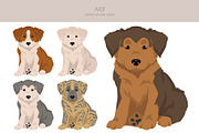 Aidi dog clipart, an Animal Illustration by pet design shop (Thumbnail 2 of 6)