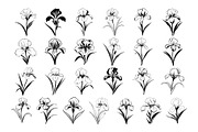 50 Iris Flowers Procreate Stamps, a Brush Add-On by Procreate Sale (Thumbnail 4 of 6)