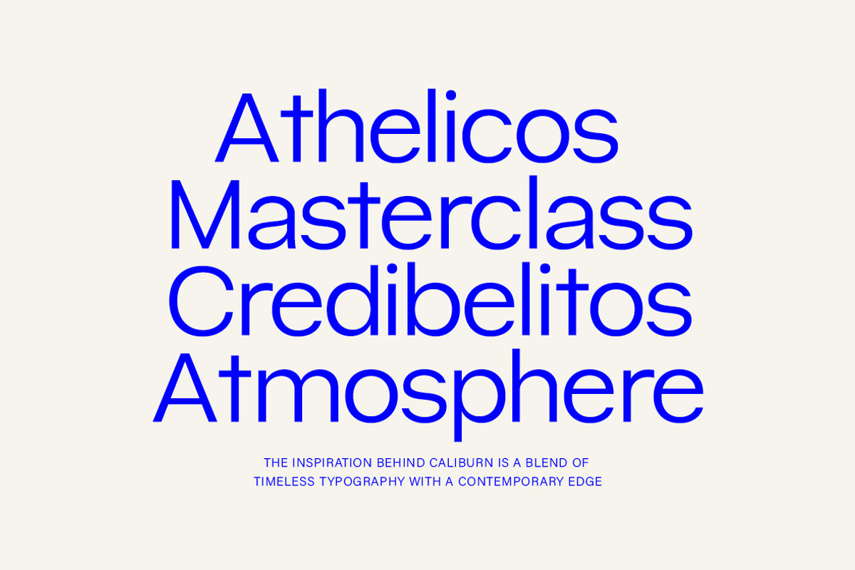 Caliburn Grotesk | Modern Variable, a Sans Serif Font by InkwellTypeCo (Photo 8 of 15)