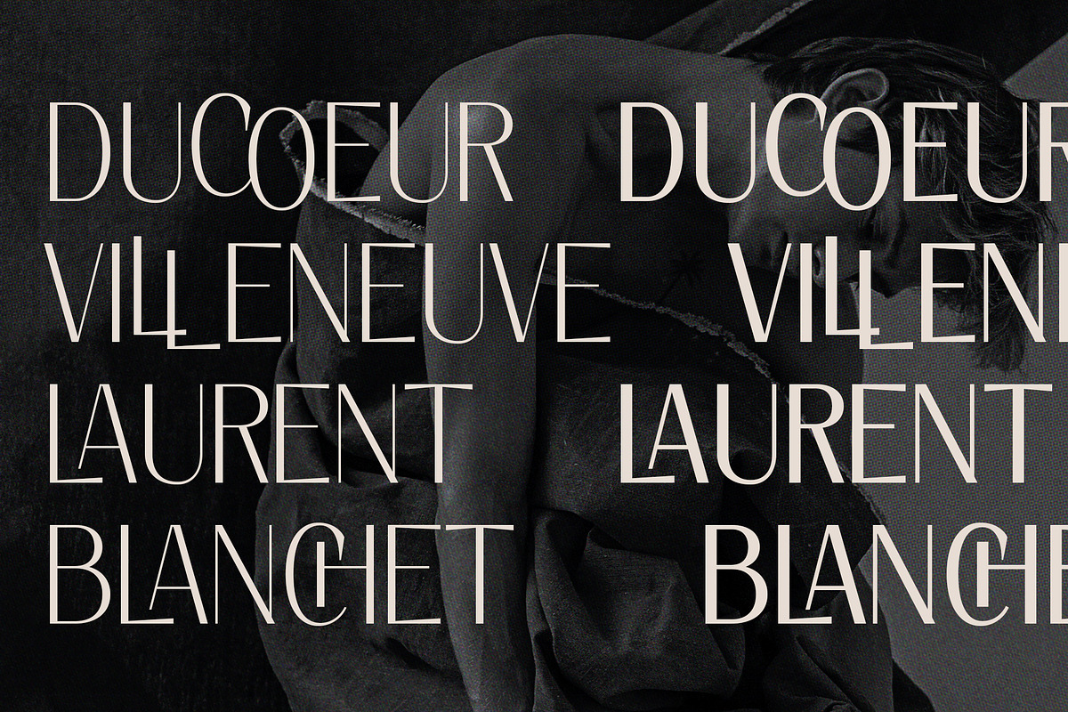 Elio & Oliver - Elegant Sans Serif, a Sans Serif Font by SilverStag Type Foundry (Photo 17 of 17)