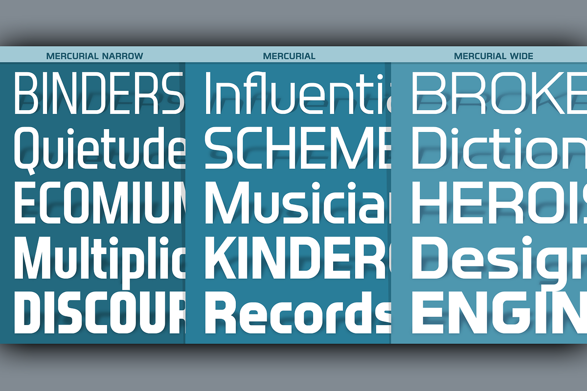 Mercurial Complete Collection, a Sans Serif Font by GRYPE (Photo 4 of 9)