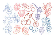 Berry Clipart SVG PNG,Fruit Patterns, a Food Illustration by ArtGiftsStudio (Thumbnail 3 of 5)