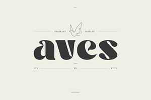 Aves Display Typeface