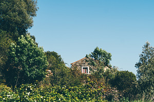 Stone house hidden in greenery, an Architecture Photo by SkyNext