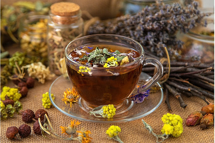 Herbal tea with medicinal herbs and, a Food & Drink Photo by yanadjana