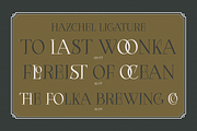 Hazchel, a Serif Font by Amera Type (Thumbnail 9 of 11)
