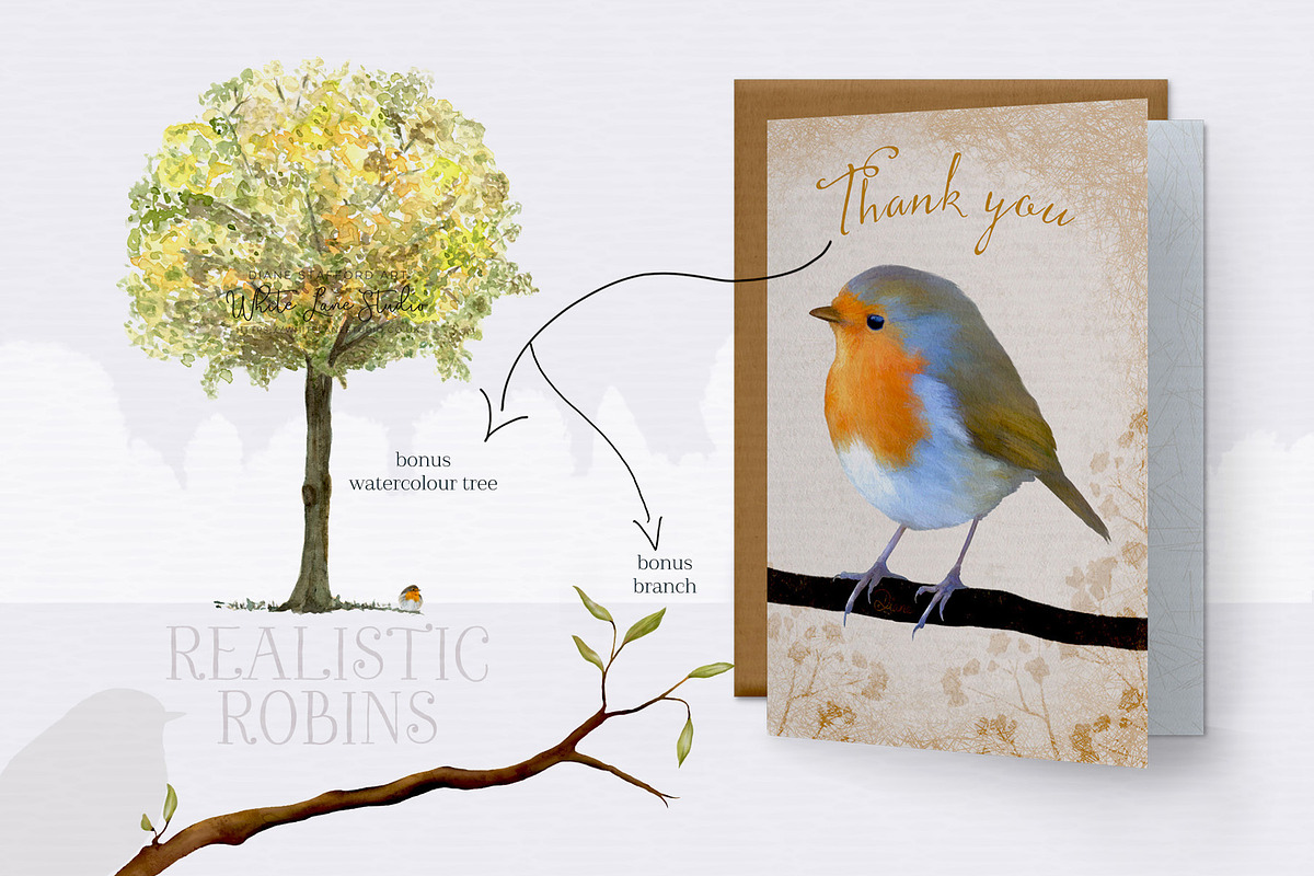 Realistic Robins Illustrations Set, an Illustration by White Lane Studio (Photo 8 of 8)