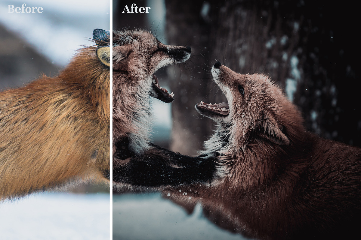 Dark & Moody Lightroom Presets preview 3