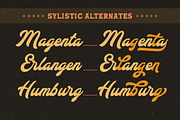 The Brucken Bold Script, a Script Font by Letterhend Studio (Thumbnail 4 of 7)