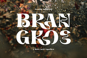 Brangkos A Wave Serif Typeface, a Serif Font by AuthenType (Thumbnail 1 of 13)