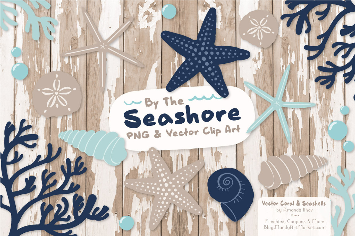 Navy Vector Seashells, an Illustration by Amanda Ilkov (Photo 2 of 5)
