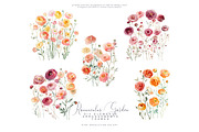 Watercolor Ranunculus Clipart Set, a Decorative Illustration by Patishop Art (Thumbnail 9 of 10)