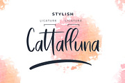 Bastelory Modern Script Font, a Script Font by Giant Design (Thumbnail 2 of 10)