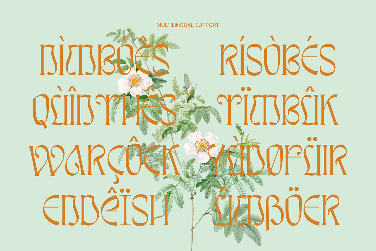 Awsirnam - Aesthetic Serif Font, a Serif Font by Enxyclo Studio (Photo 27 of 29)
