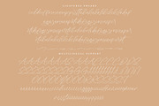 Styelad Initials, a Handwritten Font by operatype.co (Thumbnail 9 of 15)