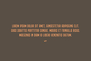 HIGHBRIDGE Typeface, a Serif Font by kulturrrno (Thumbnail 6 of 6)