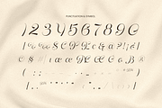 Monologue Elegant Luxury Script Font, a Script Font by Sensatype (Thumbnail 11 of 12)