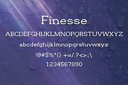 FINESSE font, a Font by DmDesignsStoreArt (Thumbnail 2 of 2)