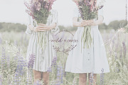 Wild flowers illustration clipart, an Illustration by Angele Kamp (Thumbnail 3 of 15)