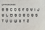 Andema, a Slab Serif Font by lelevien (Thumbnail 3 of 5)