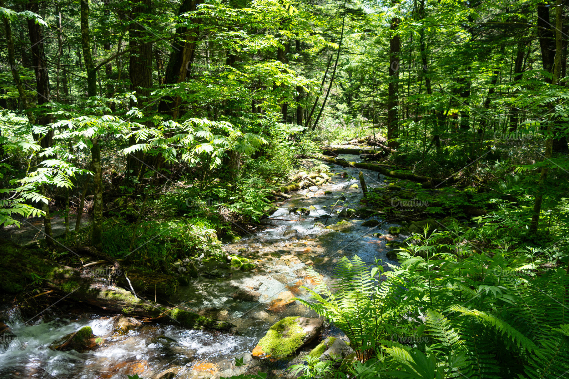 Small forest stream along Kamikochi hiking trail, Japan, a Nature Photo by GoodGoods