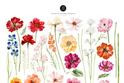 Watercolor ANEMONE Flower - Pick Me!, a Decorative Illustration by Beigetime (Thumbnail 3 of 16)