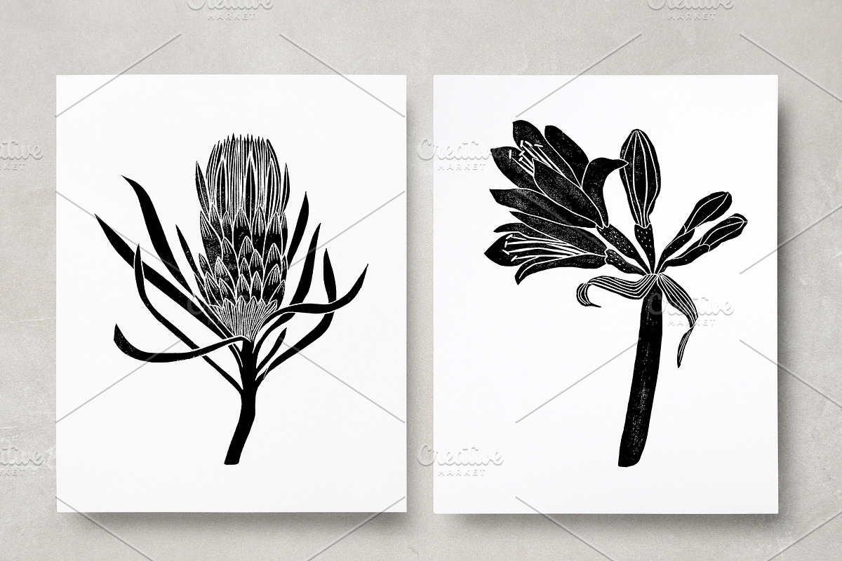 Vintage Botanica II, an Object Graphic by Mii Lab (Photo 18 of 21)