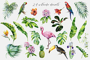 Rainforest illustrations, an Illustration by Anna Myslivets Art (Thumbnail 3 of 7)