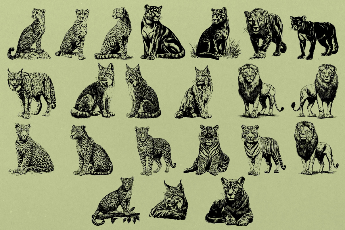 330 ZOO Animals vector illustrations, an Animal Illustration by Nocturnal Wolf (Photo 6 of 18)