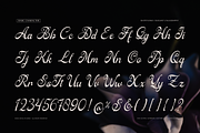 Ratfeylino | Elegant Calligraphy, a Script Font by Denustudios (Thumbnail 11 of 12)