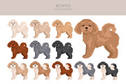 Bichpoo (Bichon Frise Poodle mix), an Animal Illustration by pet design shop (Thumbnail 3 of 6)