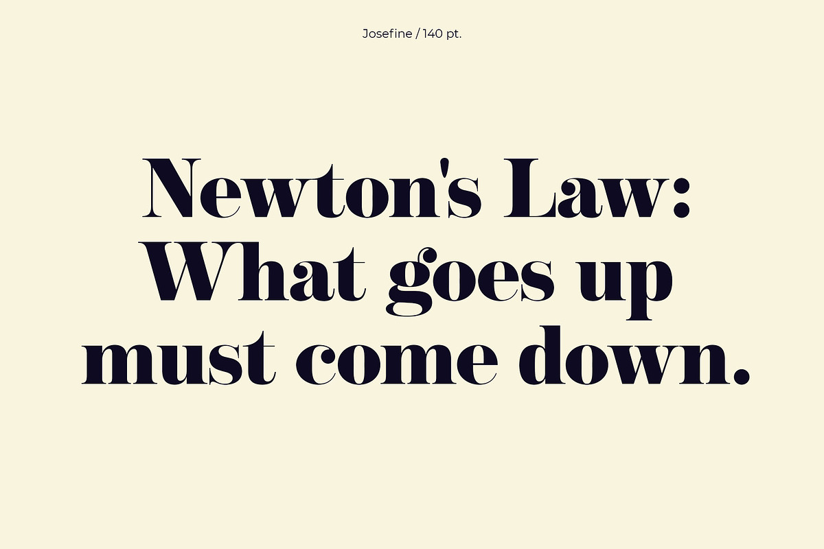 NT Josefine, a Serif Font by nevsky.type (Photo 2 of 15)