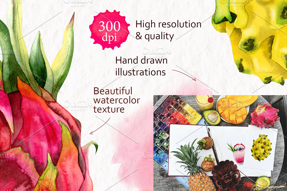 Tropical Dragon Fruit Pitaya Clipart, a Food Illustration by Elena Malgina Clipart (Photo 3 of 12)