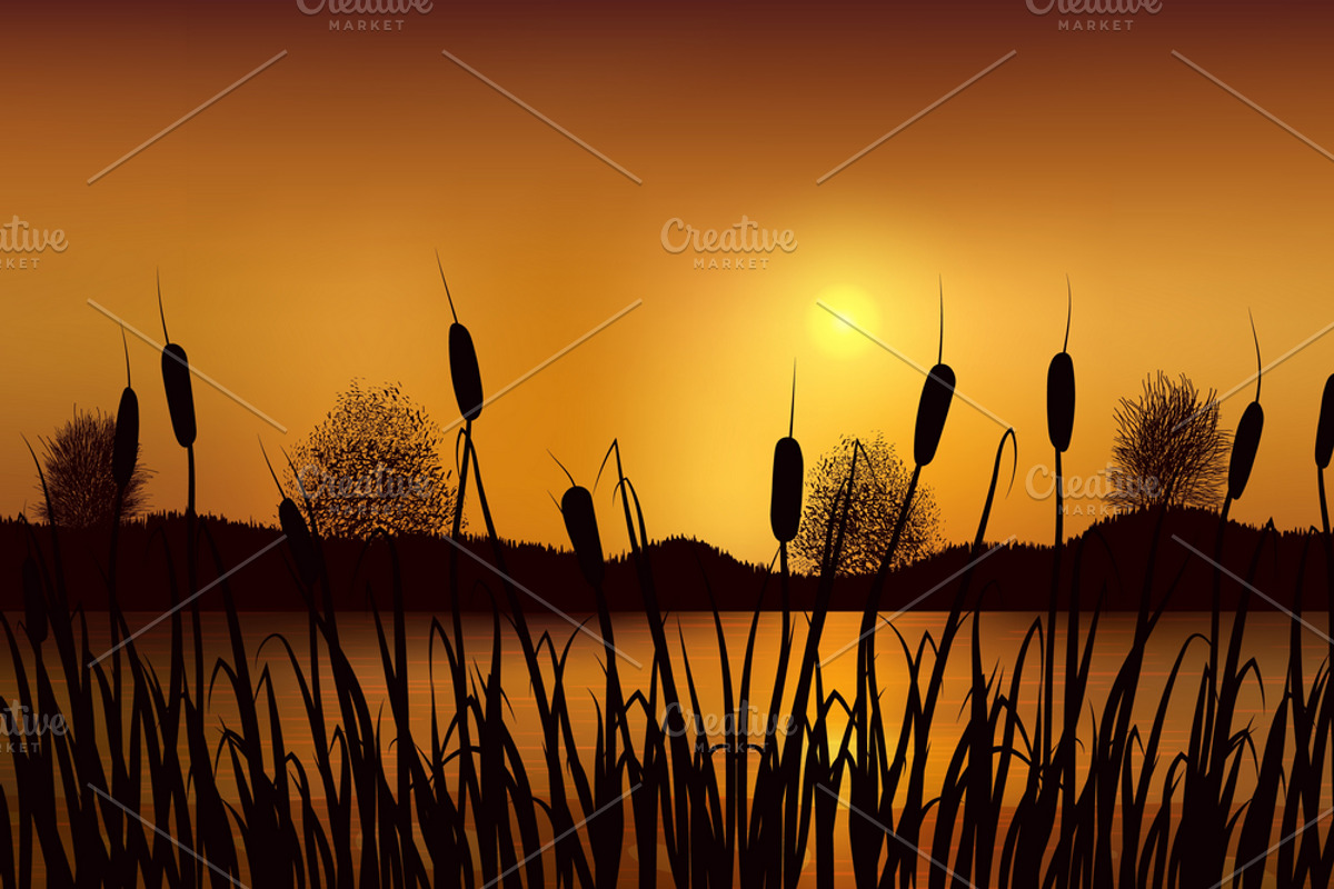 Reeds and rushes on golden sunset, a Graphic by Ederella