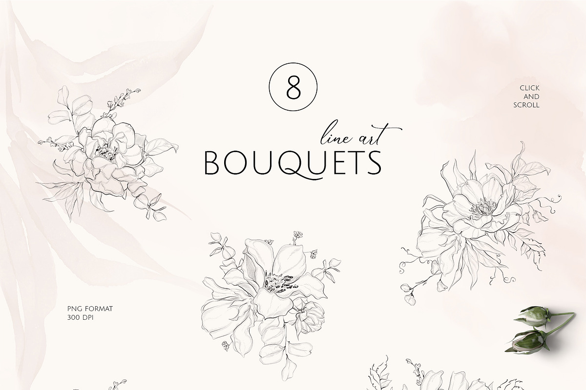 FINE GARDEN line art floral set, a Decorative Illustration by Yuliia Lashevska (Photo 3 of 12)