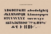 Tecle - Font Duo Typeface, a Serif Font by MaikoHatta (Thumbnail 5 of 8)