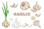Vegetables in the Vintage Style, a Healthcare Illustration by Alfazet Chronicles (Thumbnail 11 of 15)